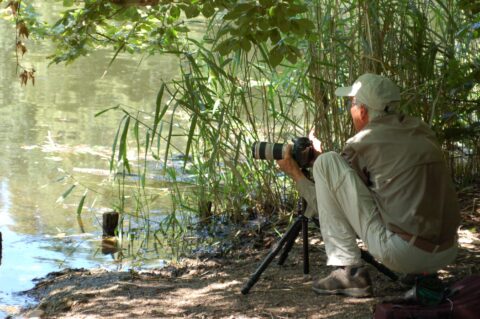 Een fotograaf bij een meer fotografeert door het riet.