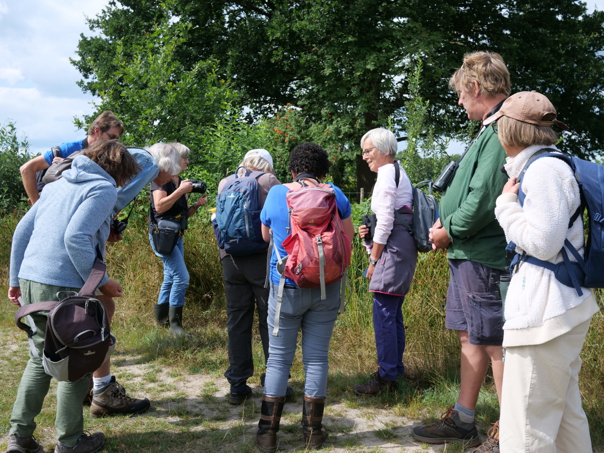 Verslag libellenexcursie op 6 augustus 2022