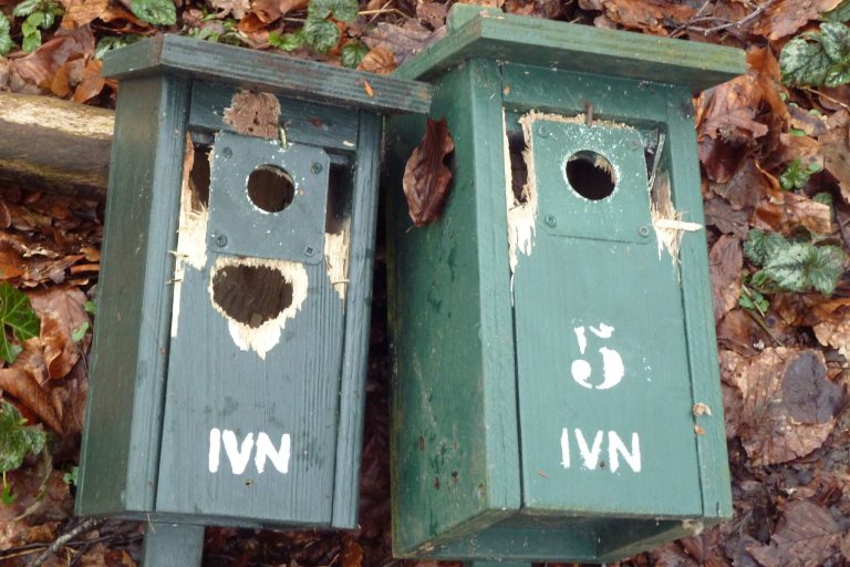 Werkgroep Nestkasten