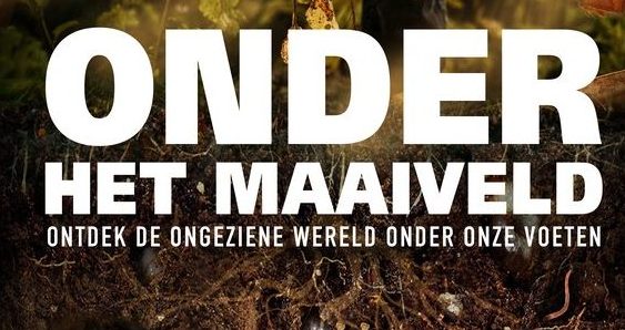 Fimposter Onder het Maaiveld