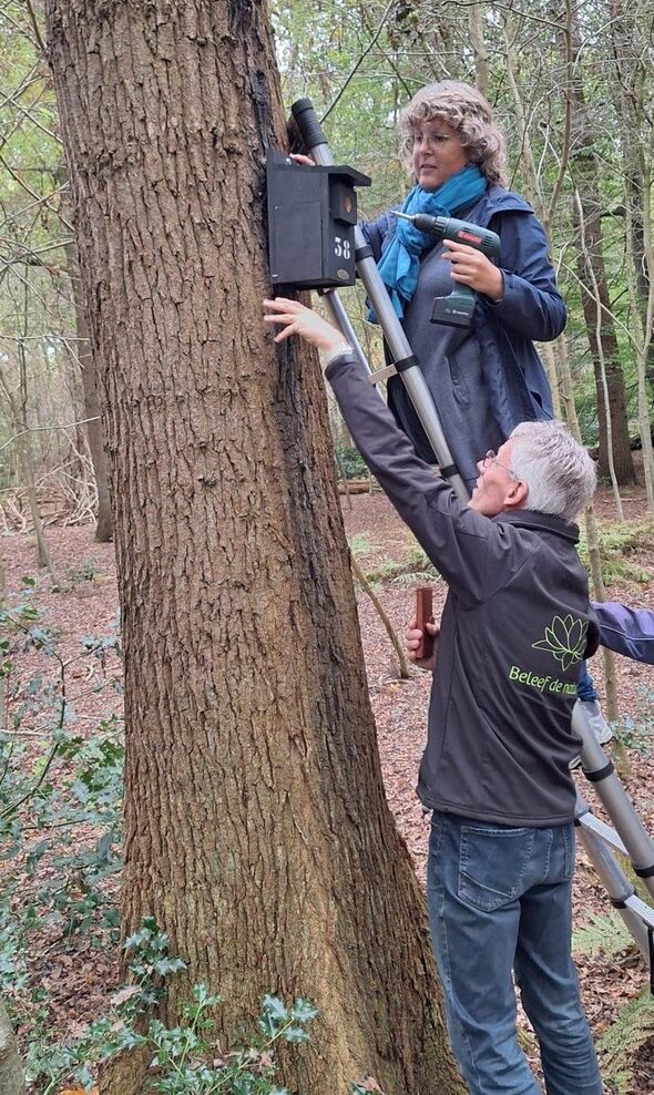 IVN-KNNV Assen Nestkastjesonderhoud (Tom Kral)