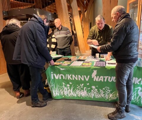 Een informatiekraam met mensen eromheen en een groen tafelkleed met "IVN/KNNV Natuur" opdruk.