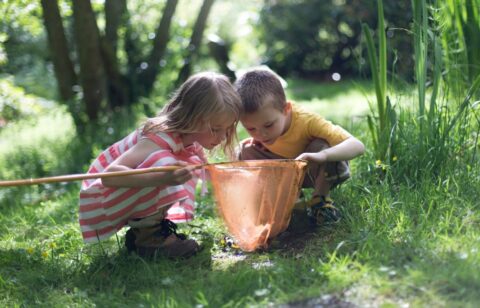 Kinderen onderzoeken een netje in een zonnige, groene tuin.