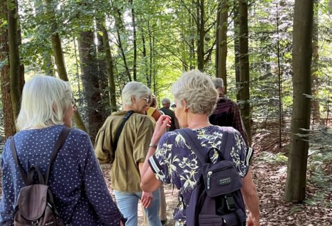 Een groep oudere mensen wandelt op een bospad onder een groen bladerdak.