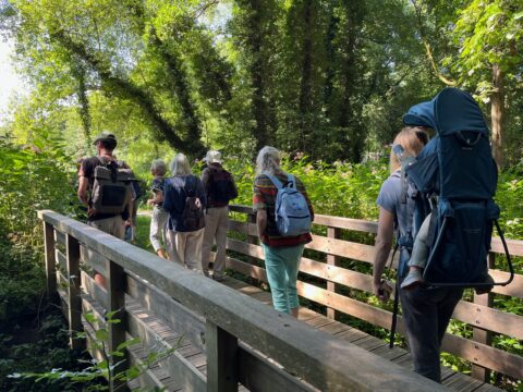 Zondagochtendwandeling Asserbos
