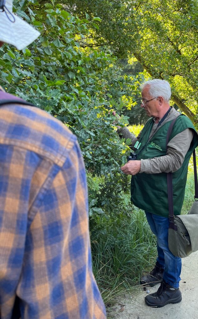 Zondagochtendwandeling Asserbos