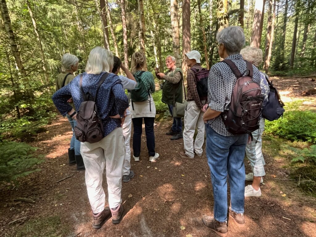 Zondagochtendwandeling Asserbos