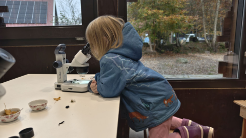 Microscopiedag (foto: Frank Huisman)
