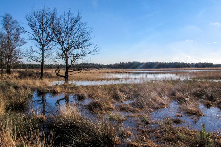 Natuur & milieu