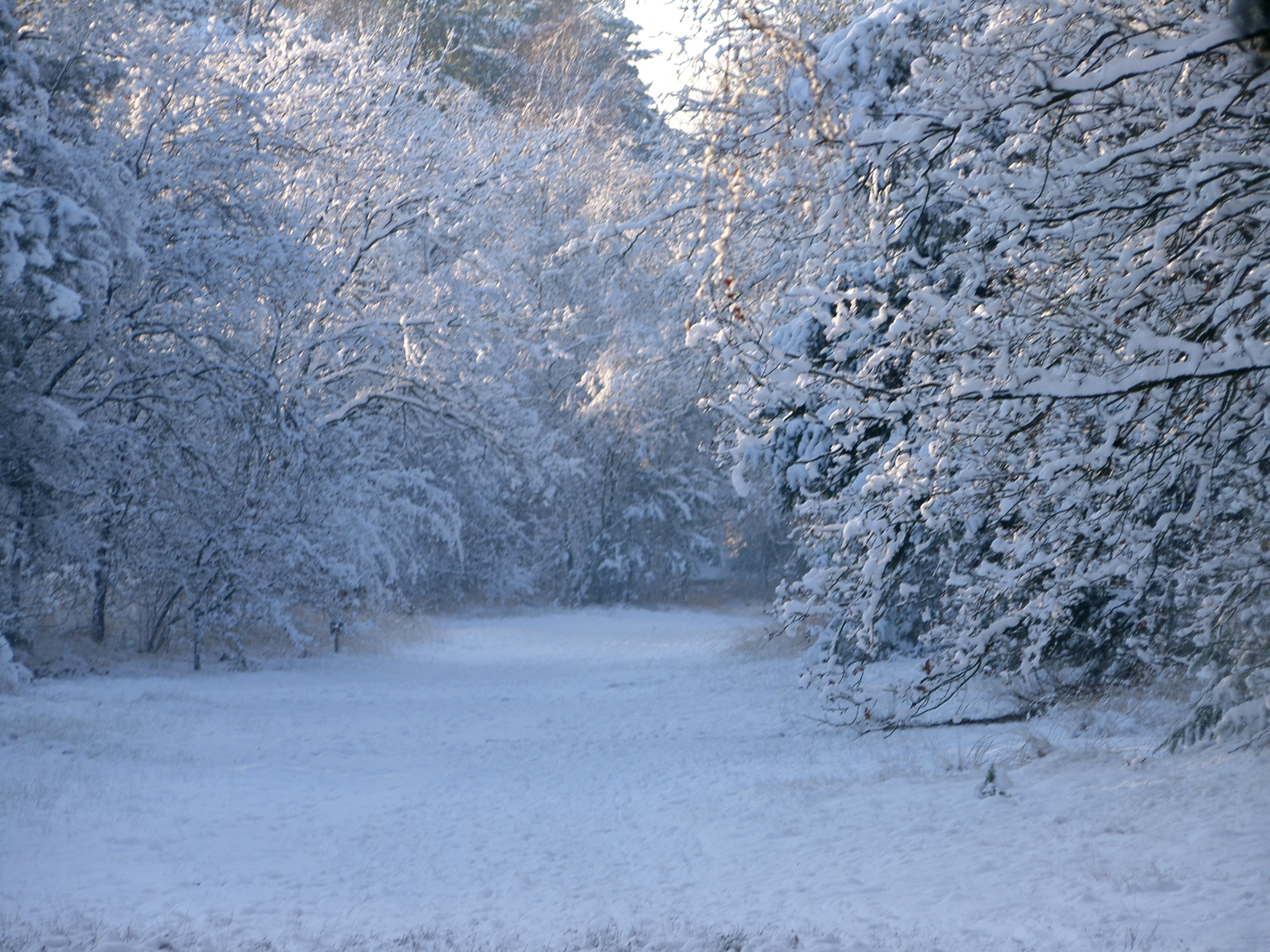 Winter in het Keelven