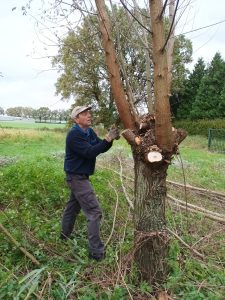 Natuurwerkdag Asten