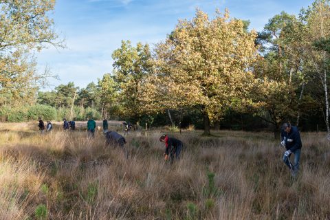Natuurwerkdag Someren