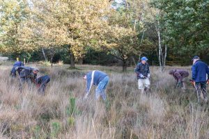 Natuurwerkdag Someren