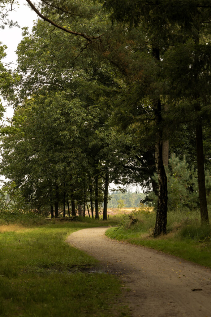 Jan van den Boogaart