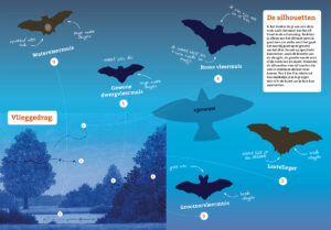 Zoekkaart van de Zoogdierenvereniging
