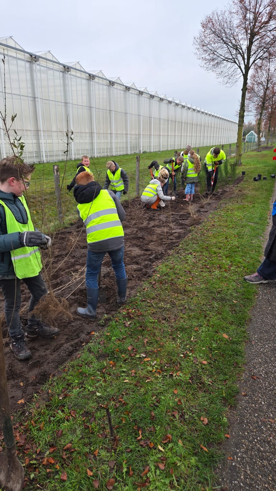Kinderen planten bomen langs een pad naast een kas, gekleed in gele veiligheidshesjes.