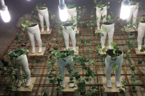 Witte mannequin benen als plantenbakken met klimop onder felle lampen boven metalen raster.