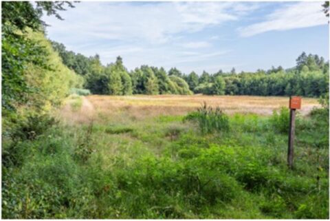 Open veld met omringende bossen en een bordje, op een zonnige dag met blauwe lucht.
