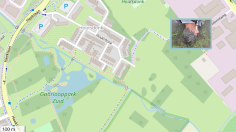 Kaart van Goorlooppark Zuid met foto-inzet van een persoon die naar de grond kijkt.