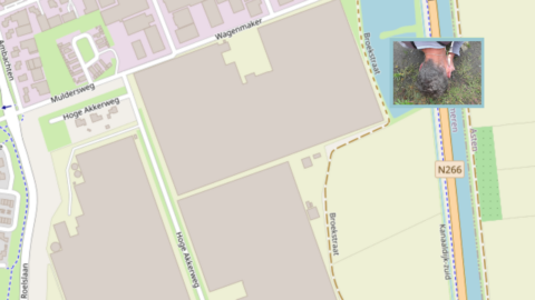 Kaart met straten en N266. Ingezoomde foto toont persoon met grijs haar aan de rand van de weg.