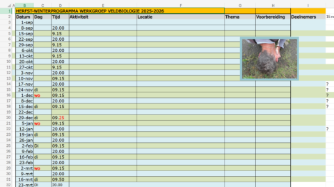 Schema herfst-winter veldbiologie 2025-2026; data, tijden en onvolledige activiteiten. Foto: persoon.