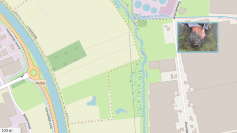 Kaart met N266, langgerekte groenstroken en een ingevoegde afbeelding van een persoon die naar de grond kijkt.