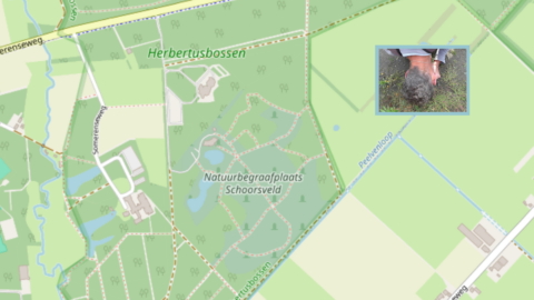 Kaart van Natuurbegraafplaats Schoorsveld met een kleine ingevoegde foto van een persoon op de grond.