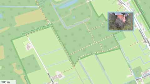 Kaart van Deurnsche Peel & Mariapeel met een persoon op de grond in een kleine inzet.