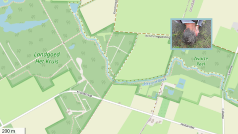 Kaart van Landgoed Het Kruis met een ingezoomde foto van iemand die naar de grond kijkt.