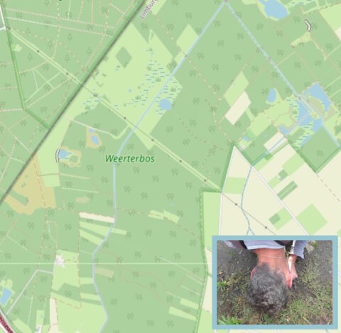 Kaart van het Weerterbos met persoon die iets van de grond onderzoekt.