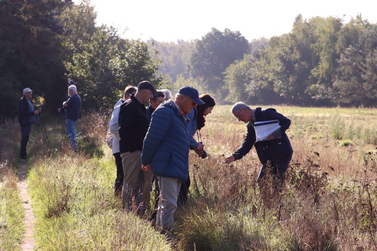 Groep mensen inspecteert planten in een zonnig natuurgebied.