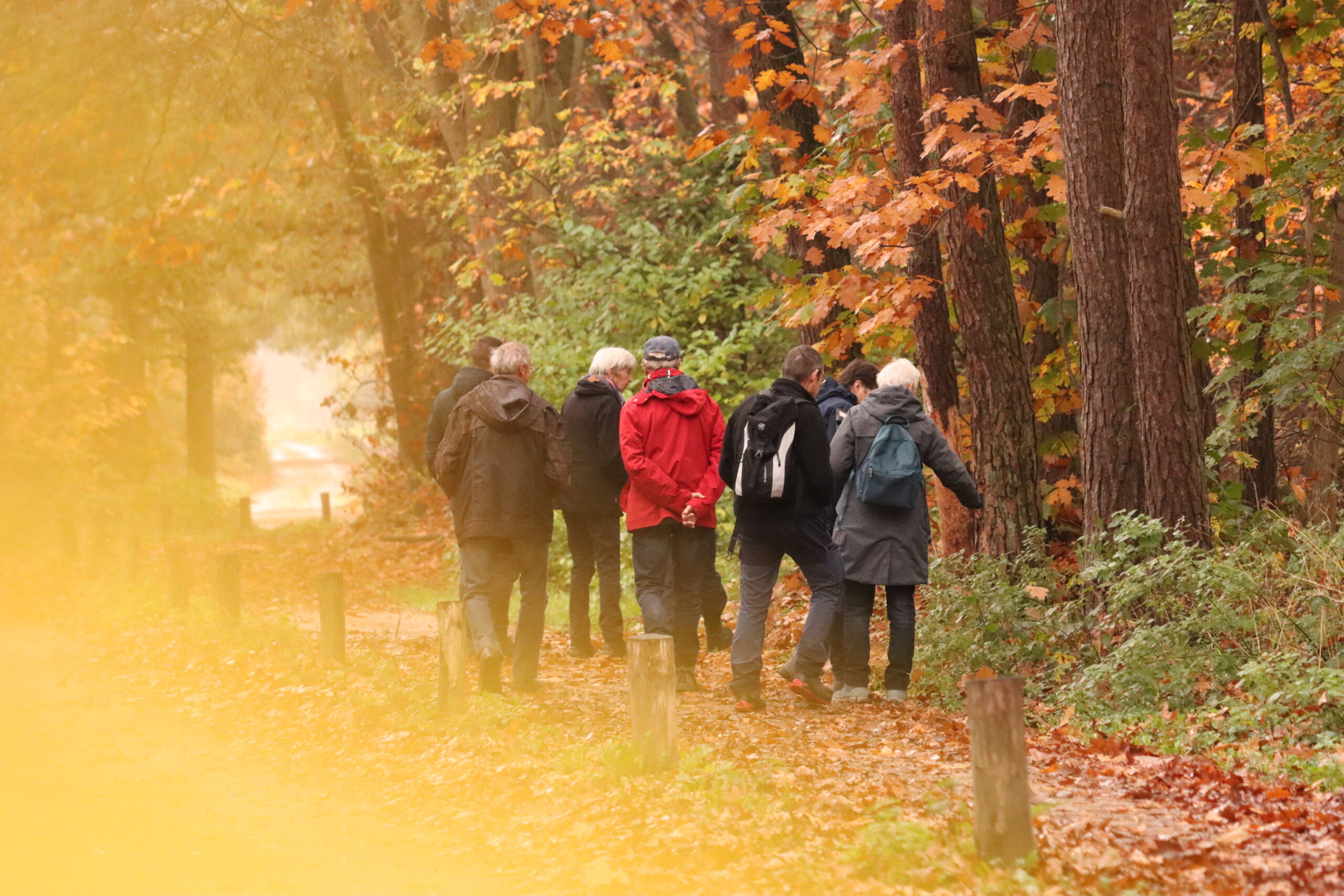 Groep mensen wandelt in een herfstbos, omringd door felgekleurde bladeren.