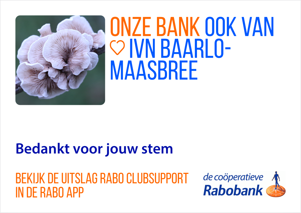 Paddenstoelen met teksten over IVN Baarlo-Maasbree en Rabobank ClubSupport.