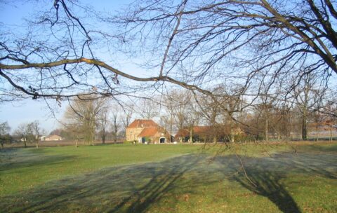 Open veld met een huis en kale bomen onder een blauwe lucht. Schaduwen van takken op het gras.