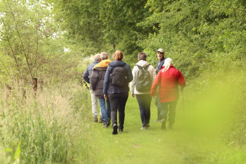 Groep wandelaars op een groen bospad, omgeven door weelderige vegetatie.