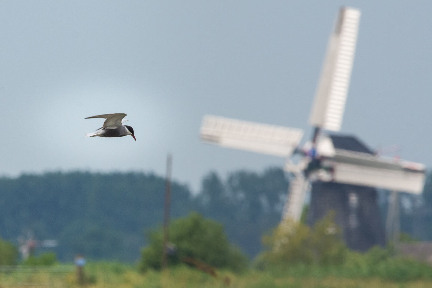 Foto’s excursie Onnerpolder