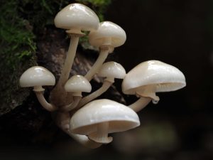 Foto van de maand oktober