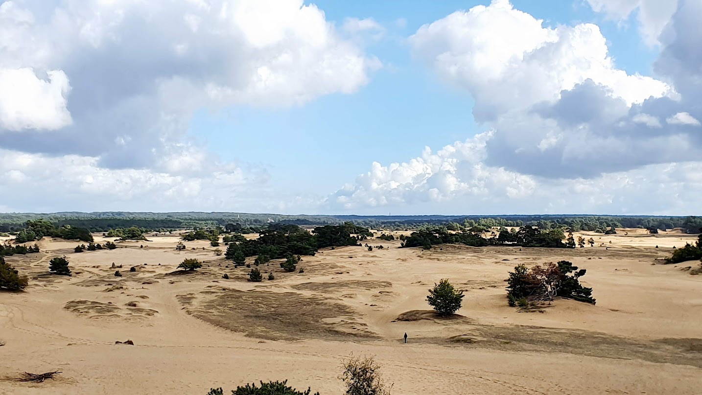 Zandduinen met verspreide struiken onder een blauwe lucht met wolken. Een persoon loopt alleen.