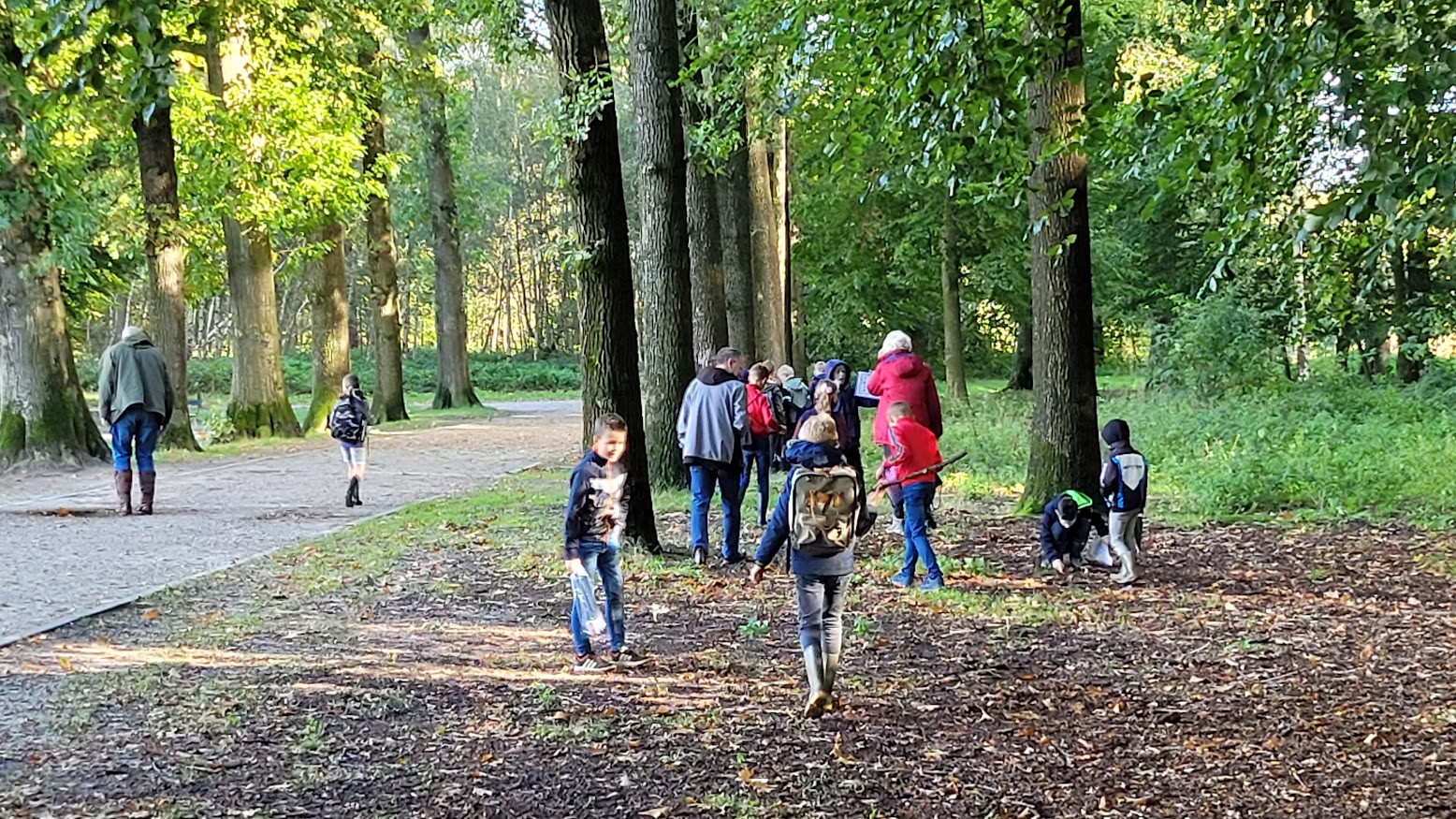 Kinderen wandelen en verkennen in een bosrijke omgeving met veel bomen.