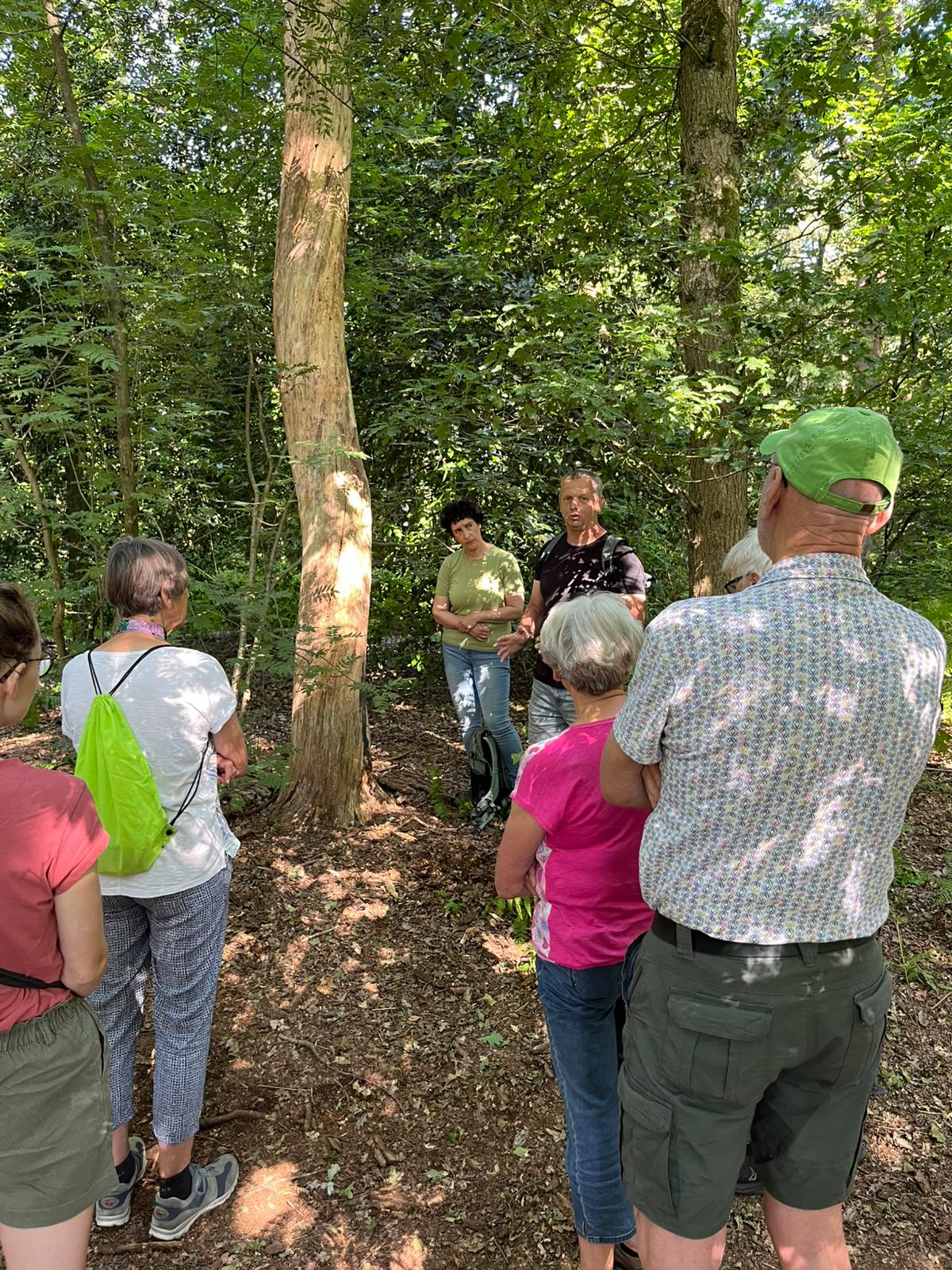 Een groep mensen luistert naar gidsen in een bosrijke omgeving.