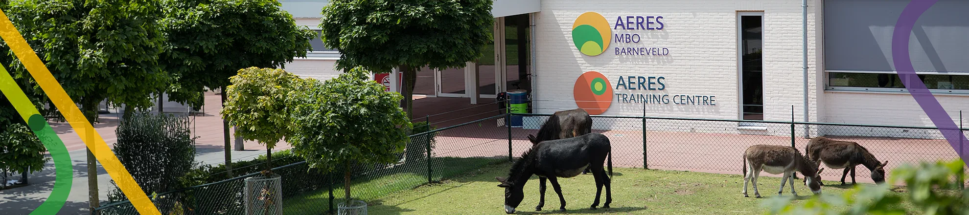 Ezel graast op grasveld bij Aeres MBO Barneveld en Training Centre; bomen op achtergrond.