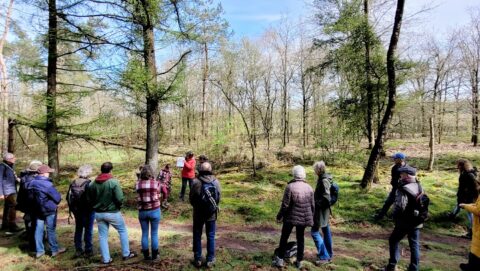 Een groep mensen luistert naar een gids in een bosrijke omgeving.