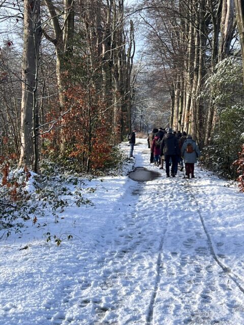 Groep wandelaars op een besneeuwd bospad met kale bomen onder een heldere hemel.