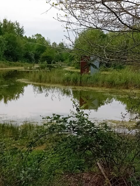 Klein meer met bomen langs de oever en een reflecterende metalen structuur.