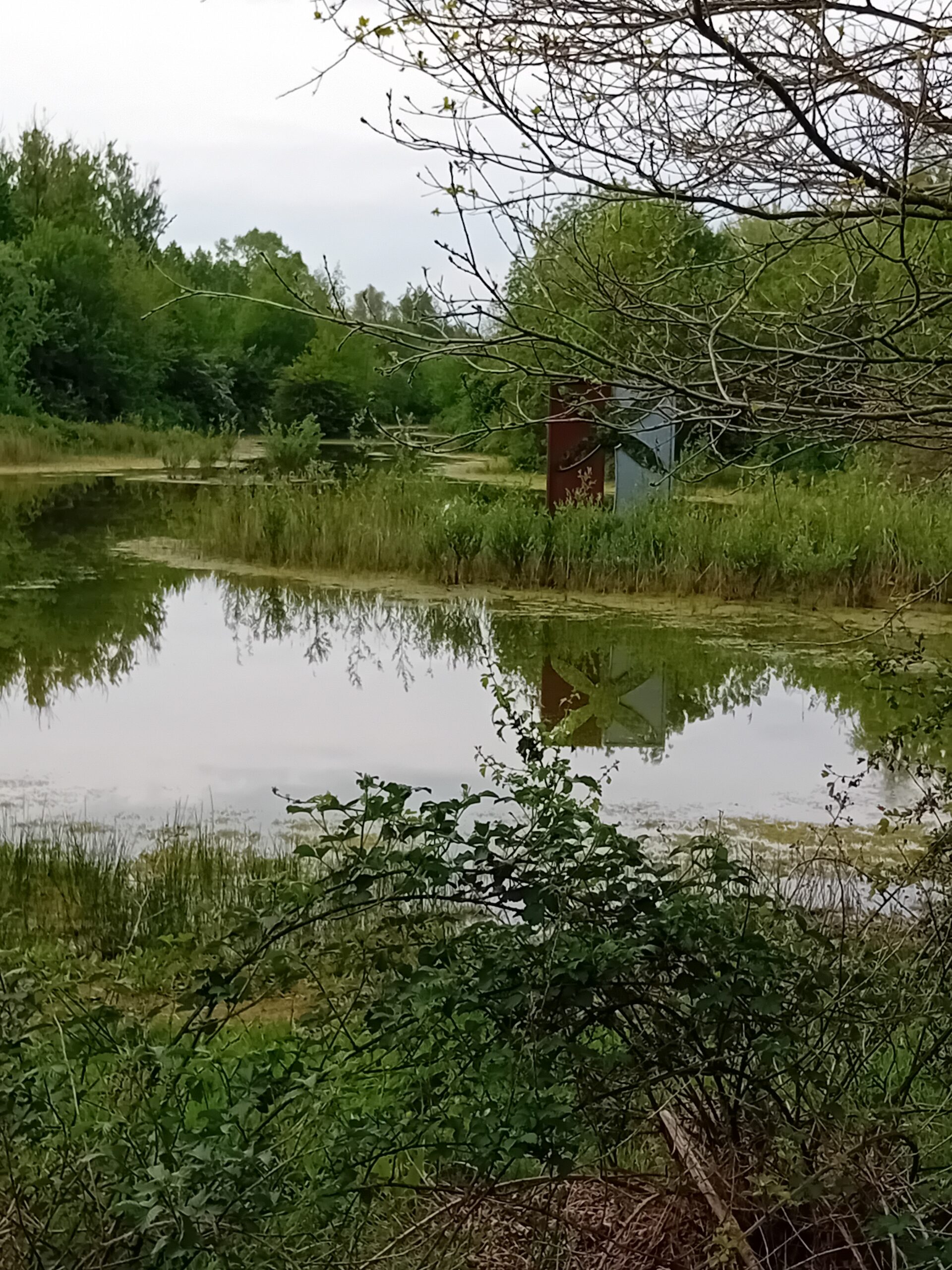 Klein meer met bomen langs de oever en een reflecterende metalen structuur.