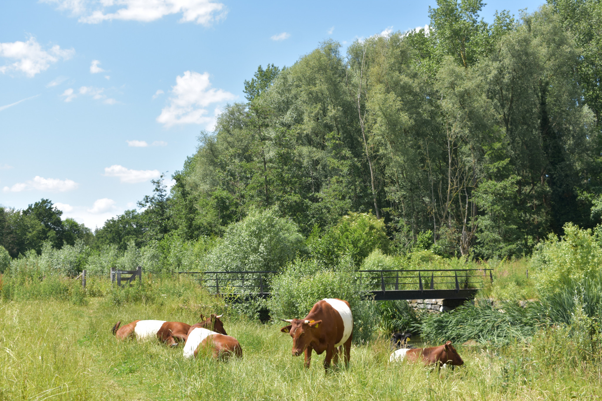 Wat doen we verder in 2022?