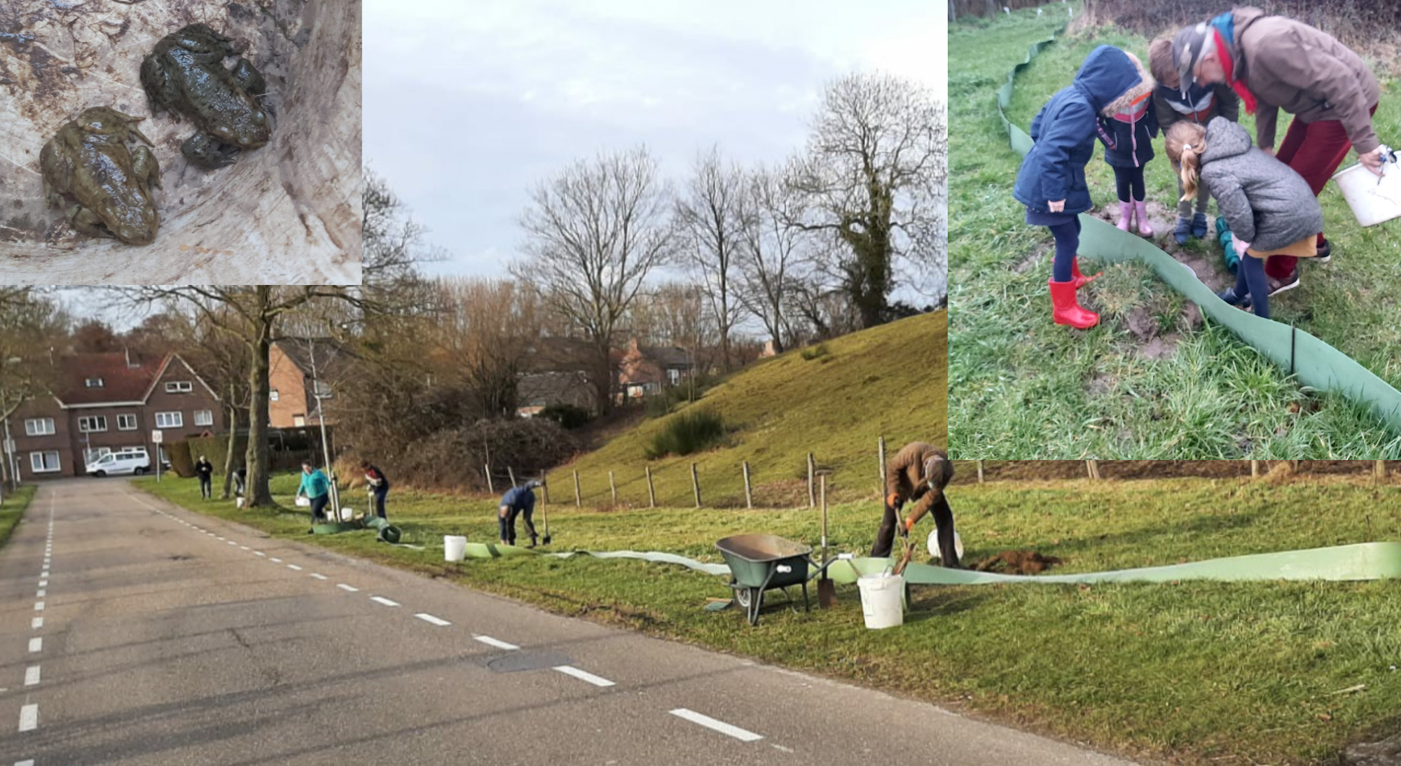 ZO-Nieuws Paddentrek in Nuth
