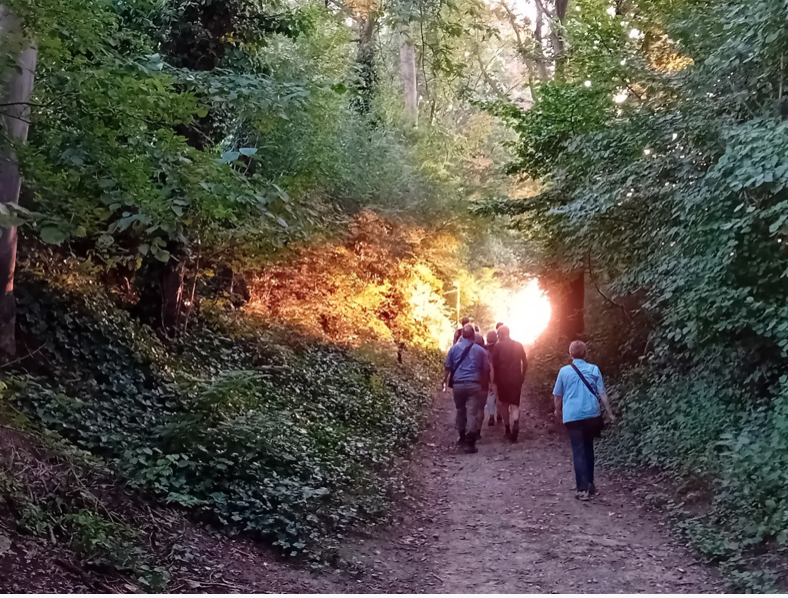 Mensen wandelen op een bospaadje bij zonsondergang, omringd door groene en gele bladeren.