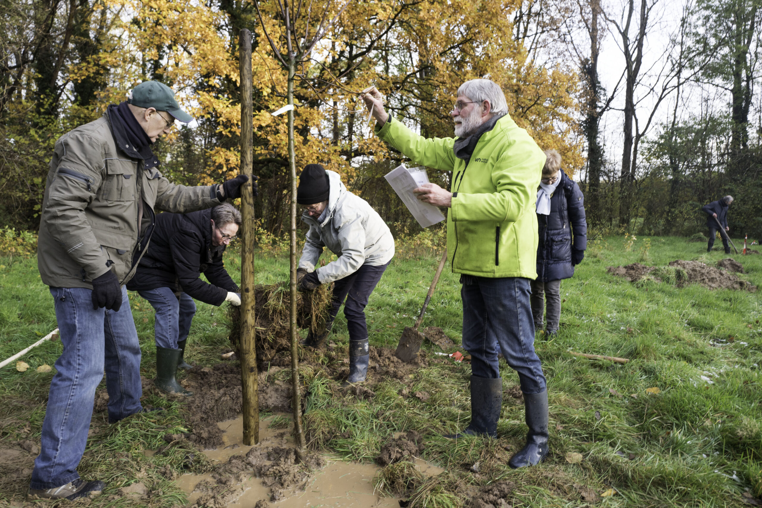 Mensen planten een boom in een park vol herfstbladeren. Eén persoon geeft instructies.