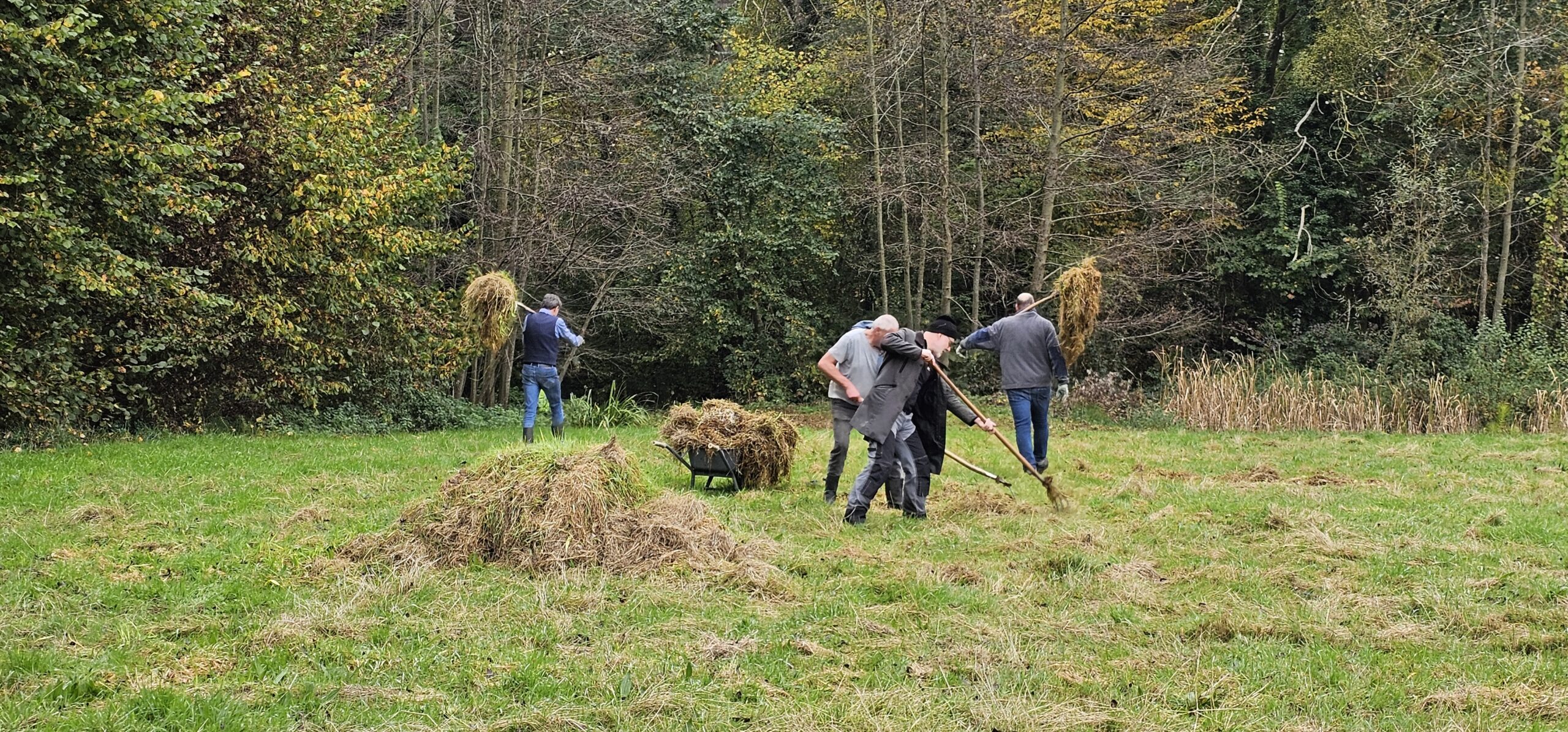 Mensen verzamelen hooi met hooivorken op een grasveld, omringd door bomen.
